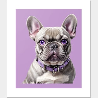 French bulldog. Posters and Art